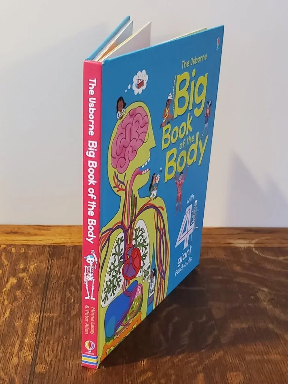 Usborne Big Book of the Body